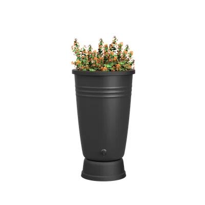 elho Green basics rainbarrel plus 200 L — living black